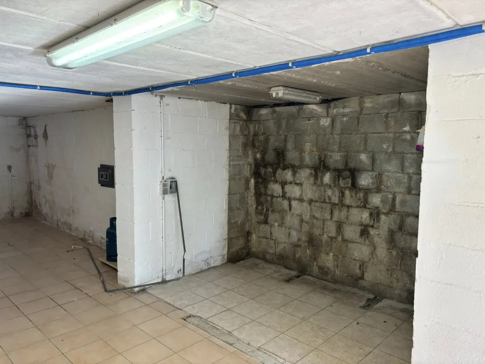 cave humide namur