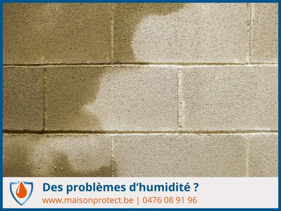 diagnostic humidité