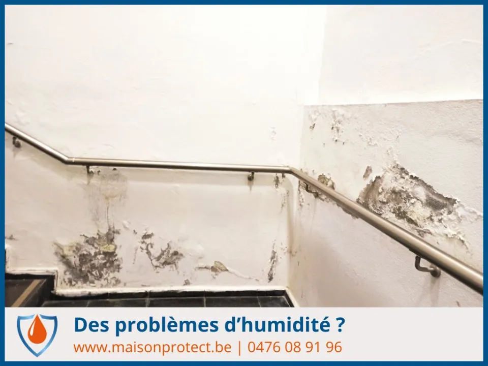 diagnostic humidité maison