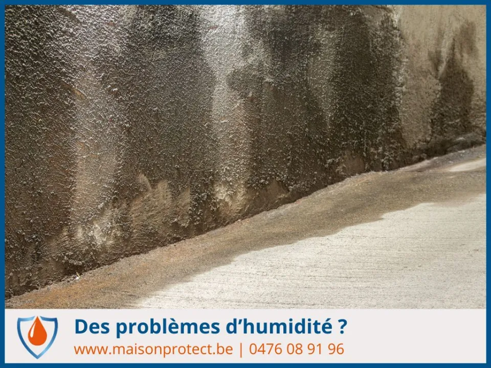 diagnostic humidité habitation
