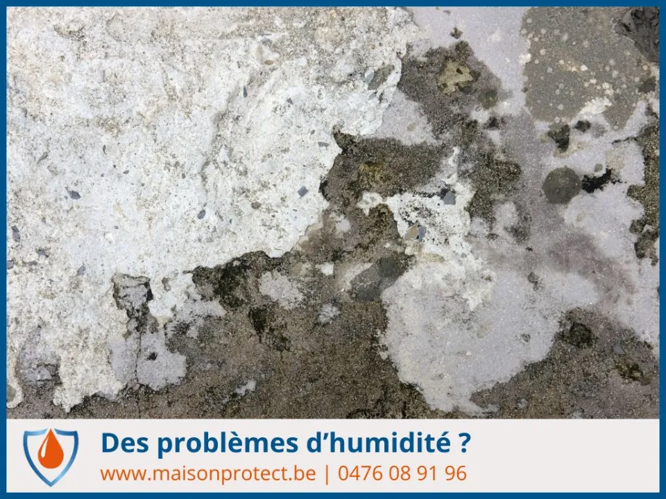 diagnostic humidité gratuit