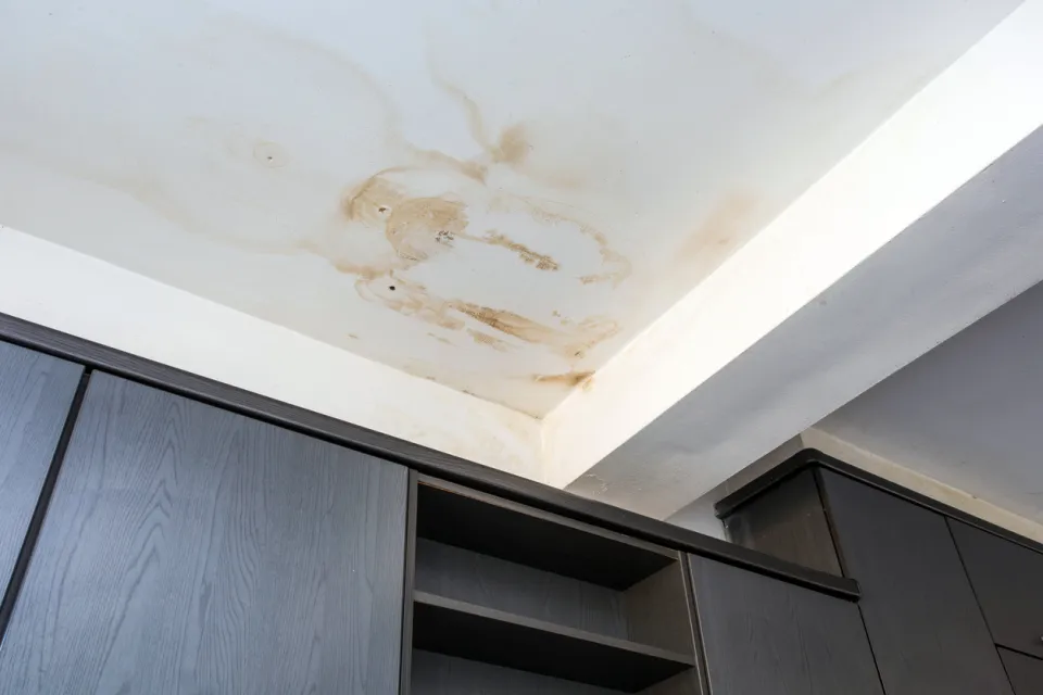 entreprise humidité liège