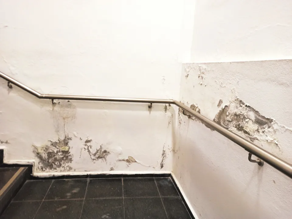 humidité région bruxelloise