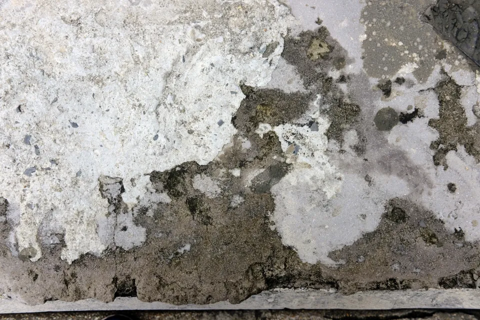 murs avec du salpetre