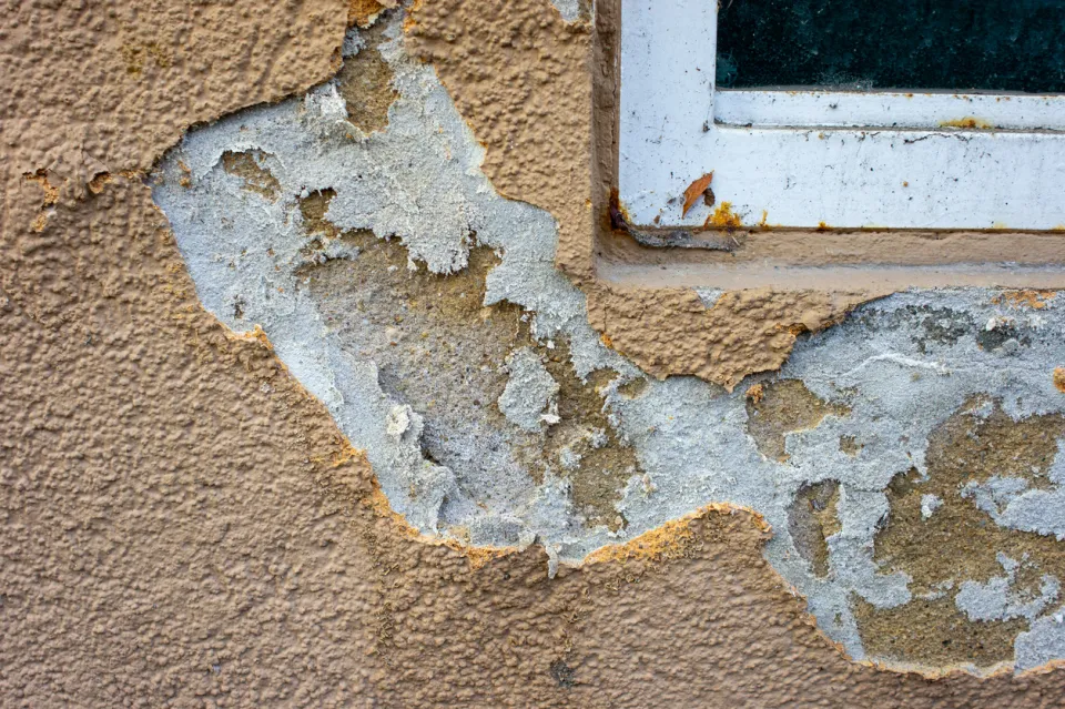 humidité dans les murs ixelles