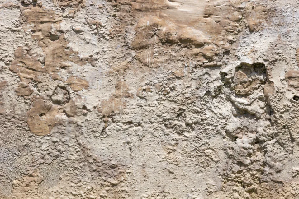 cave humide salpetre