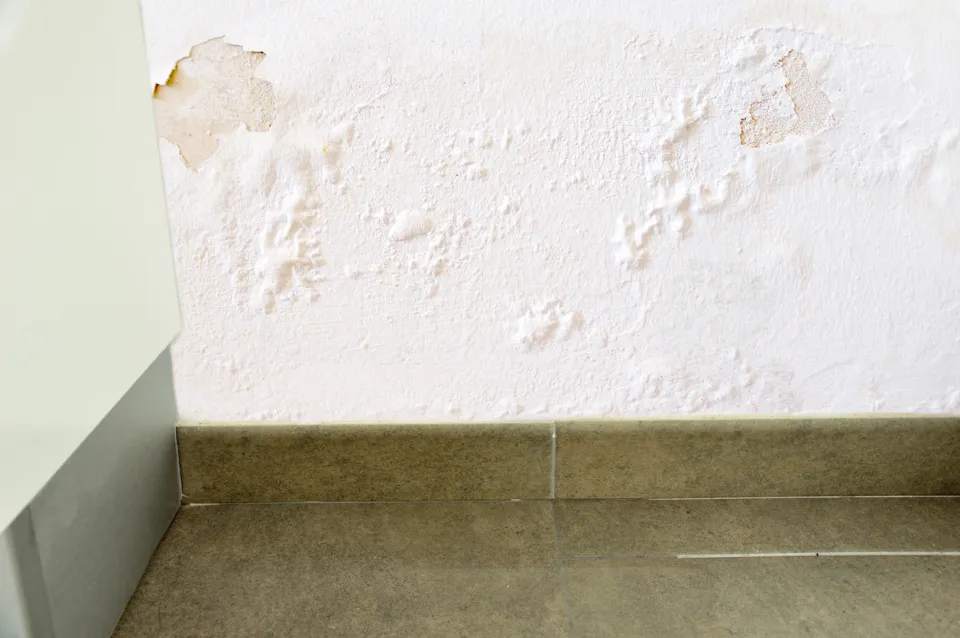 condensation mur