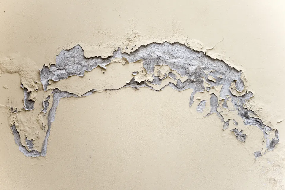 problèmes d'humidite liège