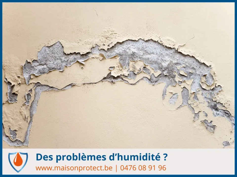 diagnostic humidité pas cher