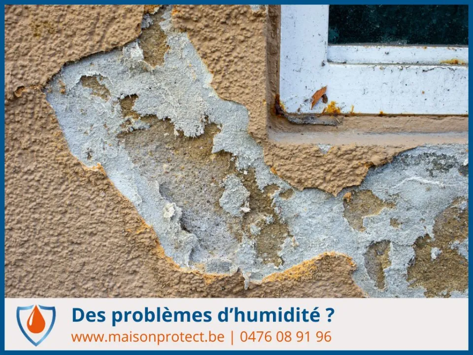diagnostic anti-humidité