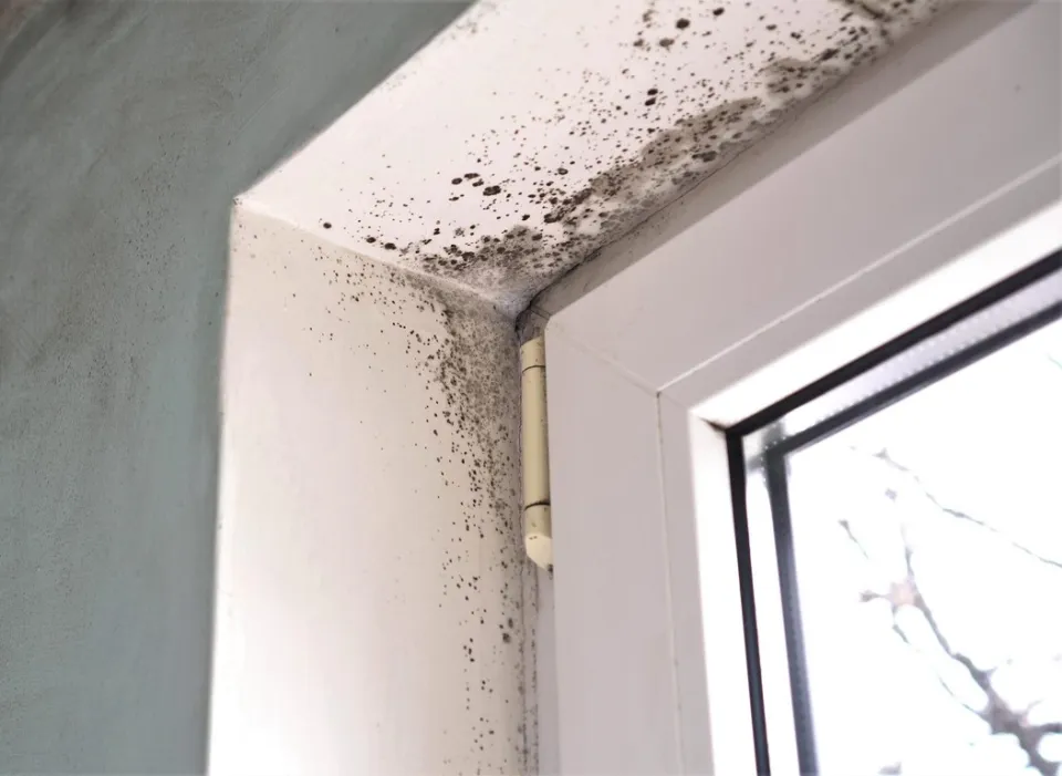 condensation  maison