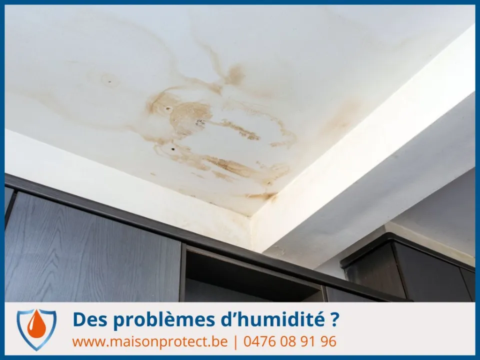 diagnostic humidité prix