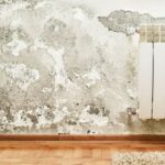 humidité ascensionnelle