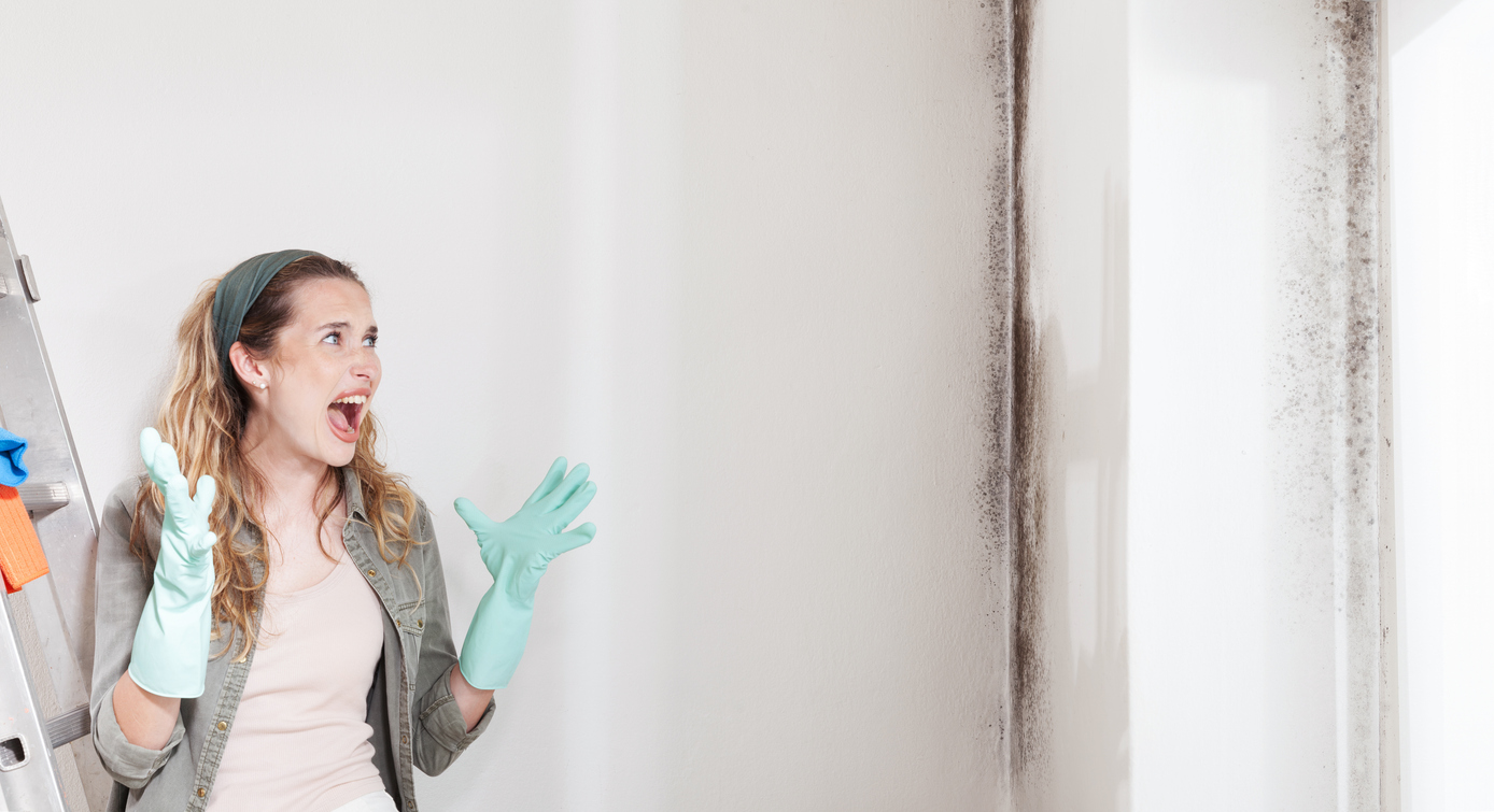 Comment savoir d’où vient l’humidité dans ma maison ?